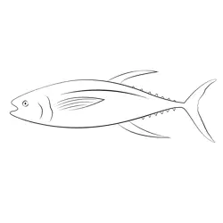 Canned Tuna Fish Yellowfin Tuna Fish Free Coloring Page for Kids