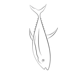 New Tuna Fish Free Coloring Page for Kids