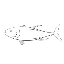Tuna Terry Yellow Fin Free Coloring Page for Kids
