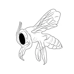 Bumble Bee 5 Free Coloring Page for Kids