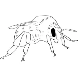 Bumble Bee 8