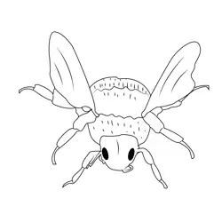 Bumble Bee Free Coloring Page for Kids