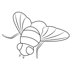Blue Bottle Fly Free Coloring Page for Kids