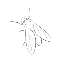 Horse Fly Free Coloring Page for Kids