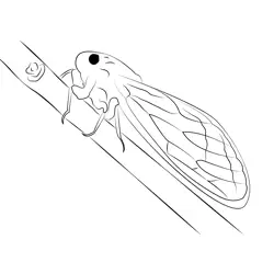 Cicada Up Tree Free Coloring Page for Kids