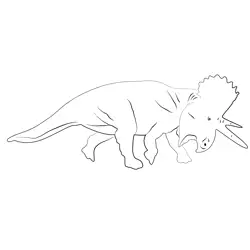 Ceratopsian Dino