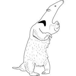 Anteater Standing Free Coloring Page for Kids