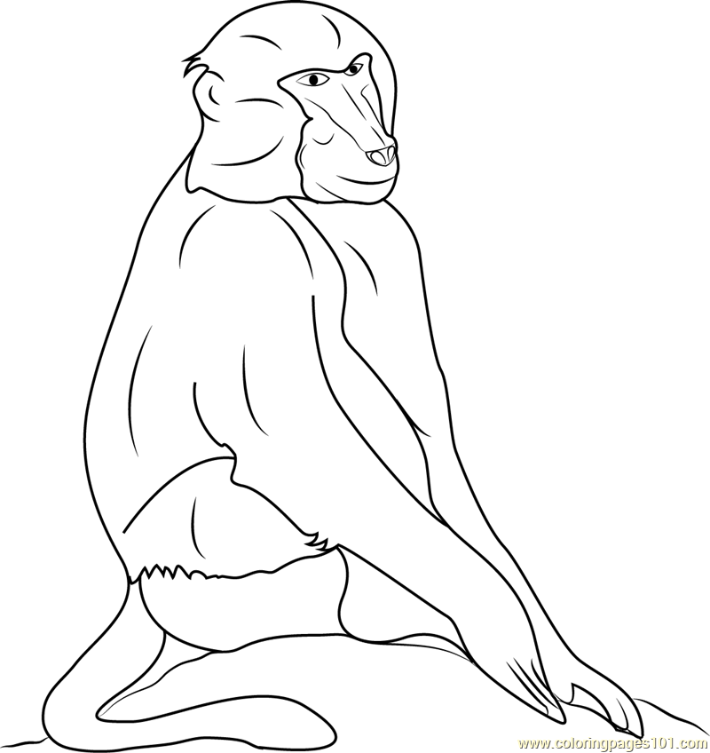 baboon coloring pages - photo #10