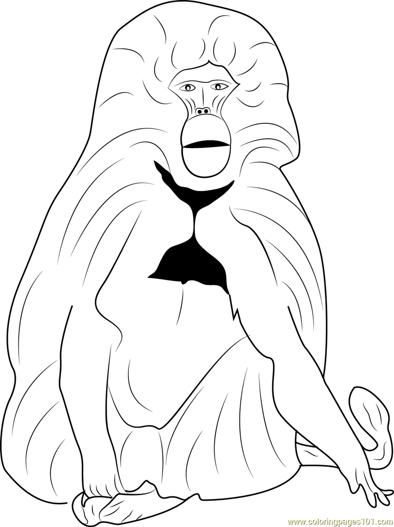 baboons coloring pages - photo #33