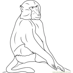 Black Baboons Free Coloring Page for Kids