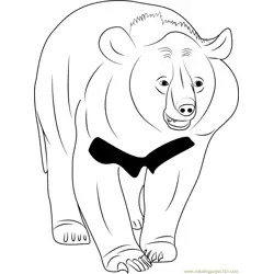 Asian Black Bear Free Coloring Page for Kids