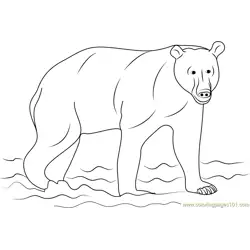 Kamchatka Brown Bear Free Coloring Page for Kids