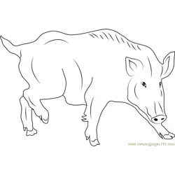 Wild Swine Free Coloring Page for Kids