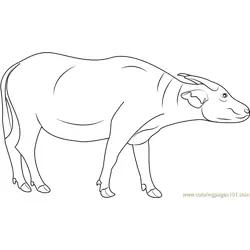 Swamp Buffalo Free Coloring Page for Kids