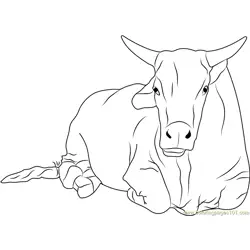 Sitting Bull Free Coloring Page for Kids