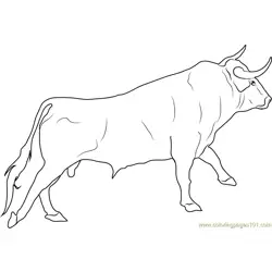 Spanish Fighting Bull Free Coloring Page for Kids