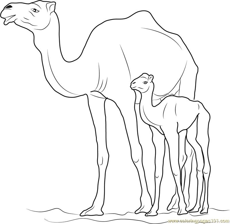 Camel with Kid Coloring Page - Free Camel Coloring Pages ...