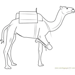 Camel having Three Legs Free Coloring Page for Kids