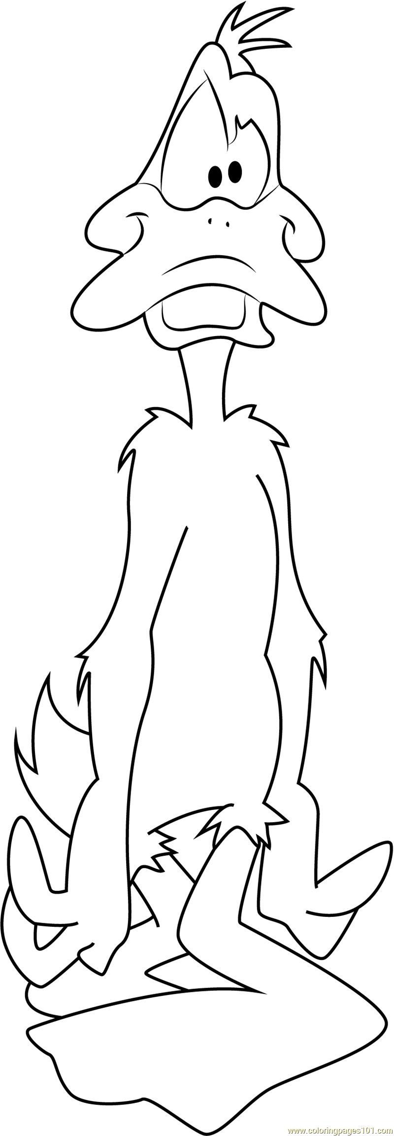 daffy duff coloring pages - photo #22