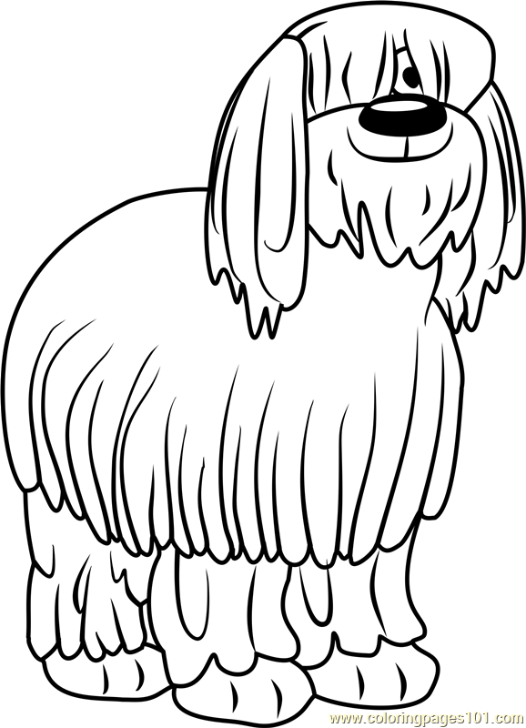 Pound Puppies Niblet the Old English Sheepdog Coloring Page   Free ...