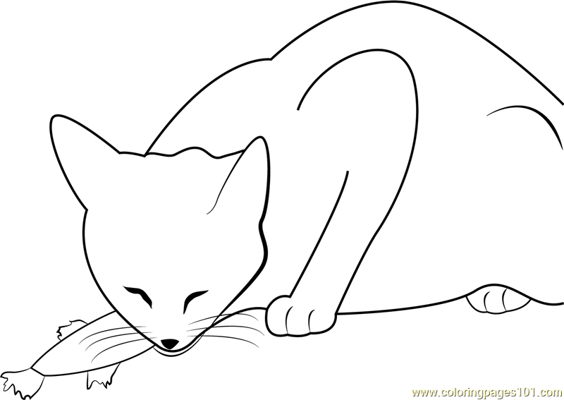 Cat Eats Fish Coloring Page - Free Cat Coloring Pages ...
