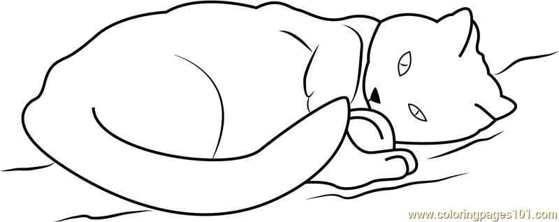 Cat Sleeping and Staring Coloring Page - Free Cat Coloring Pages