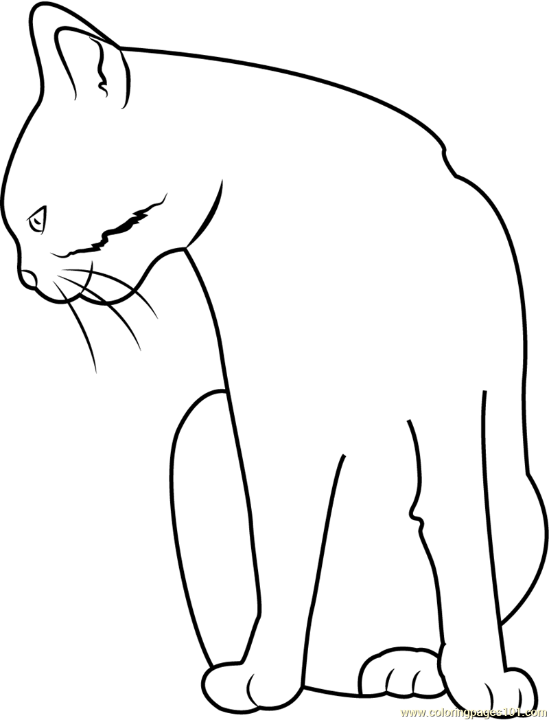 Cat Staring Down Coloring Page - Free Cat Coloring Pages