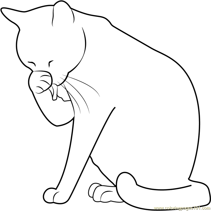 Cat Washing her Face Coloring Page - Free Cat Coloring Pages