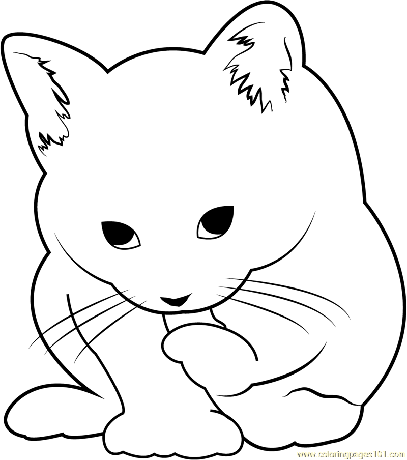 31 Cute Cats Coloring Pages - Free Printable Coloring Pages