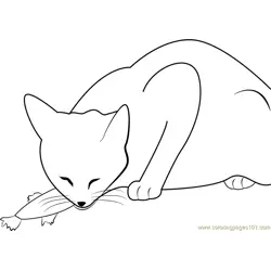 Cat Eats Fish Free Coloring Page for Kids