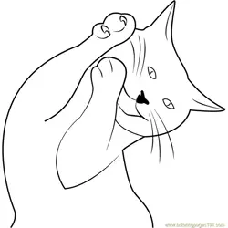Cat Karate by Drezdany Free Coloring Page for Kids