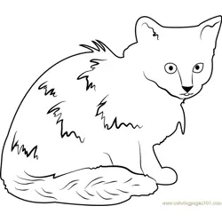 Cat Looking Dirty Free Coloring Page for Kids