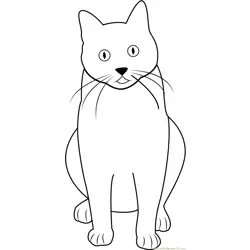 Cat Sitting and Looking Up Free Coloring Page for Kids