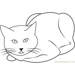 Cat Sitting and Staring Free Coloring Page for Kids