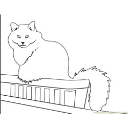 Cat Sitting in Balcony Free Coloring Page for Kids
