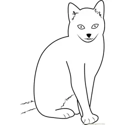 Cat Sitting with Style Free Coloring Page for Kids
