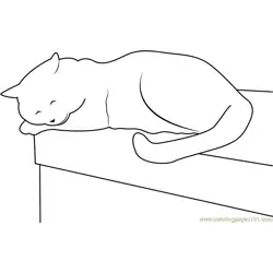Cat Sleeping on Table Free Coloring Page for Kids