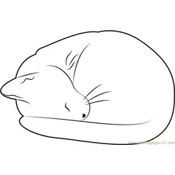 Cat Sleeping Free Coloring Page for Kids