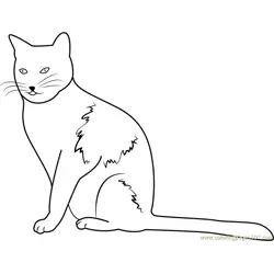 Cat Staring Forward Free Coloring Page for Kids