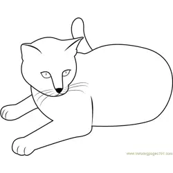Cat Stock by Malleni Free Coloring Page for Kids
