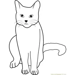 Cat Stock by Tigg Free Coloring Page for Kids