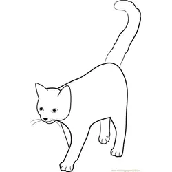Cat Tail High Free Coloring Page for Kids