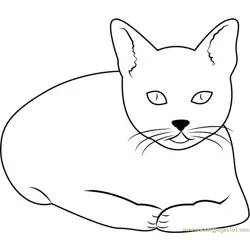 Cat Watching Forward Free Coloring Page for Kids