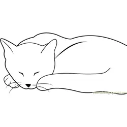 Cat looking Cute while Sleeping Free Coloring Page for Kids