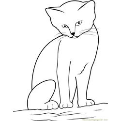 Cat looking Cute while sitting on Sand Free Coloring Page for Kids
