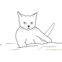 Cute Cat Sitting on Sand Free Coloring Page for Kids