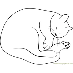 Cute Cat Sleeping by Drawade Free Coloring Page for Kids