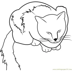 Naughtiest Cat Free Coloring Page for Kids