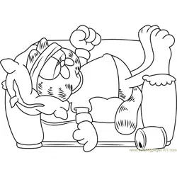 Garfield Sleeping on Sofa