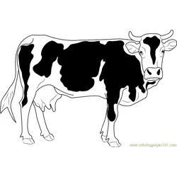 Cattles Free Coloring Page for Kids